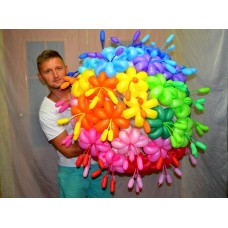 Букет из воздушных шаров  Цветочки с Тычинками